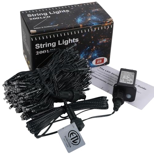 66ft Valentines Decorative Mini Lights