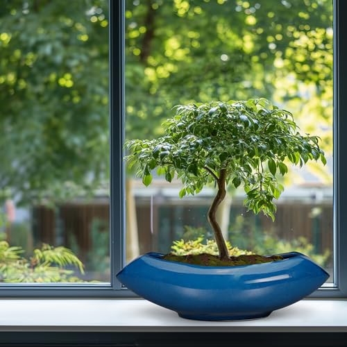 Bonsai Tree Pot 18 Inch