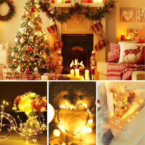 14 Pack Fairy Lights Battery Operated (14 Count)