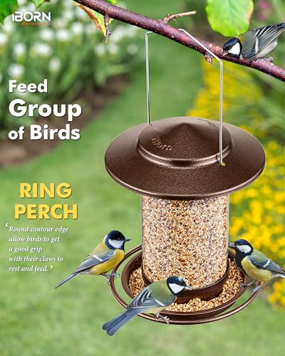 Bird Feeder for Outside Hanging