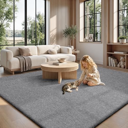 6x9 Area Rugs for Living Room Bedroom