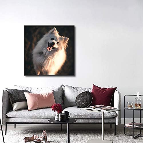 Custom Framed Canvas Prints with Your Photo for Pets