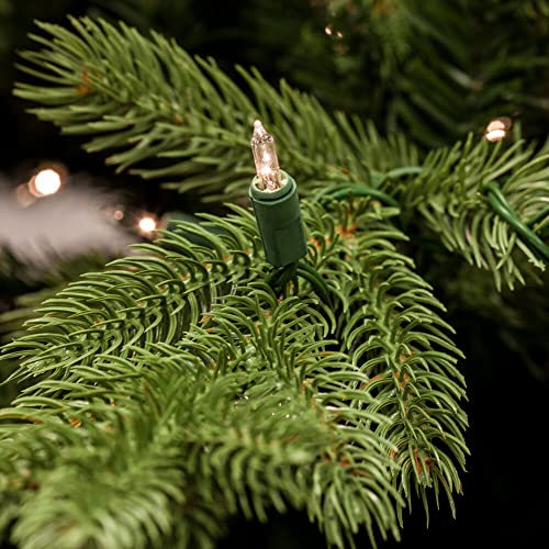 6.5 Ft. Foxtail Pine Artificial Christmas Tree with Stand and No Lights