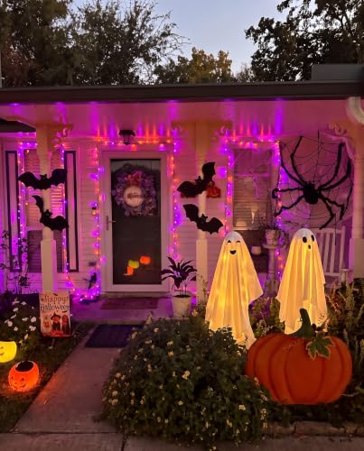 Halloween Lights 20FT 100 Count
