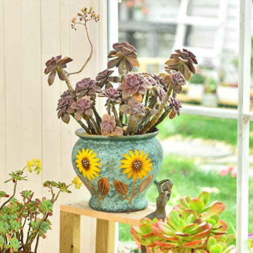 9 Inch Hand Painted Ceramic Succulent Plant Pots