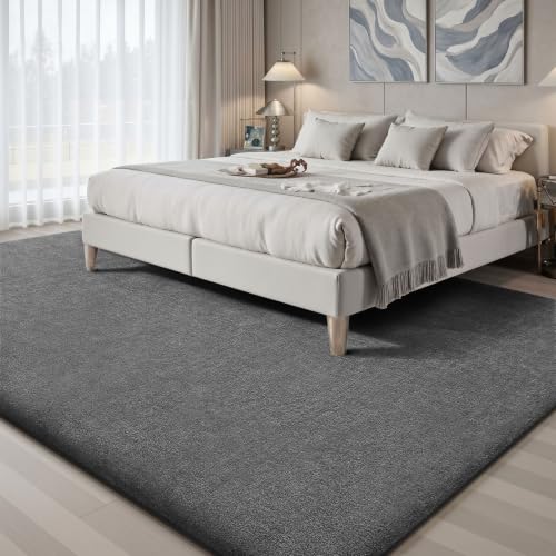 8x10 Area Rugs for Bedroom Living Room