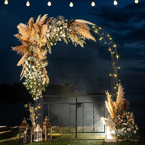 7FT Black Metal Garden Arch Arbor with Gate