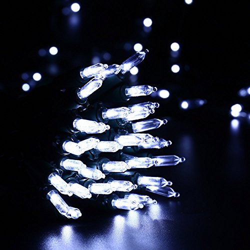 Christmas Lights