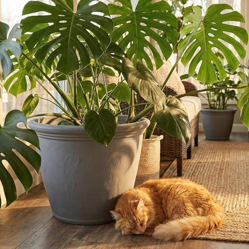 Sunnydaze Anjelica 24'' Large Plastic Planter Pot for Plants (4 Count)