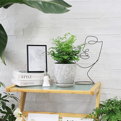 6 Inch Ceramic Planter Pots with Drainage Hole and Saucers for Indoor Plants (2 Count)