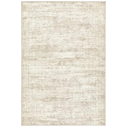 2x3 Entryway Area Rug