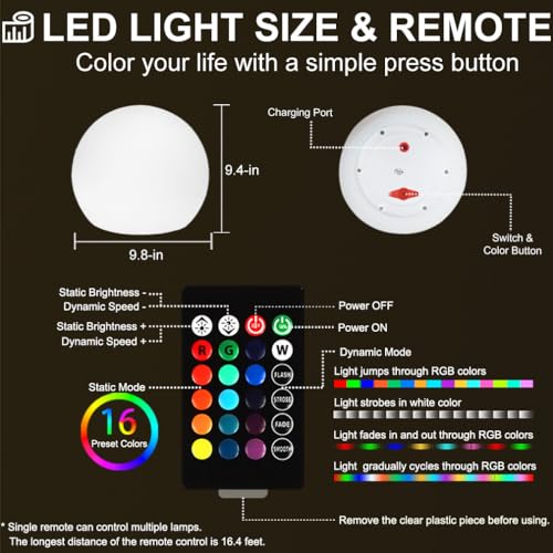 10 in LED Ball Light