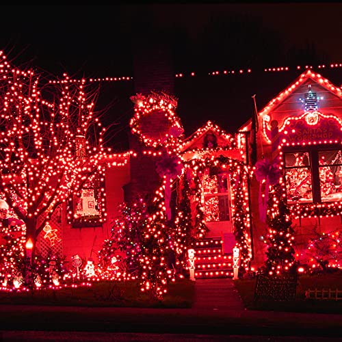 66ft Valentines Decorative Mini Lights