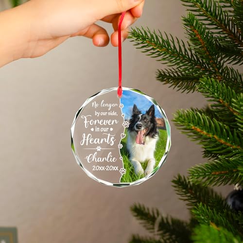 Personalized Memorial Pet Glass Ornament