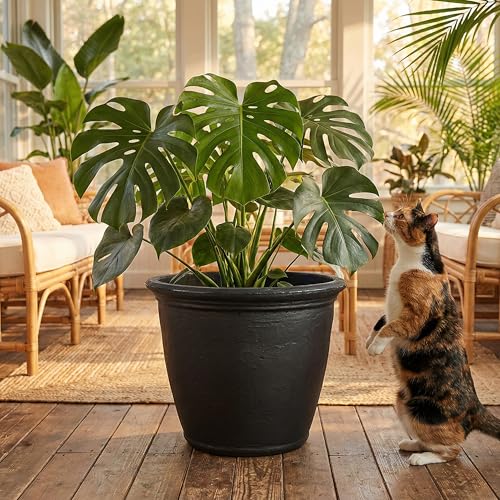 Sunnydaze Anjelica 20'' Large Plastic Planter Pot for Plants (4 Count)