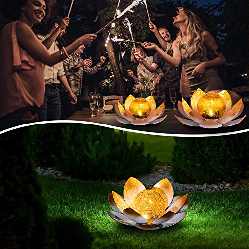 Garden Solar Lights Outdoor (2 Count)