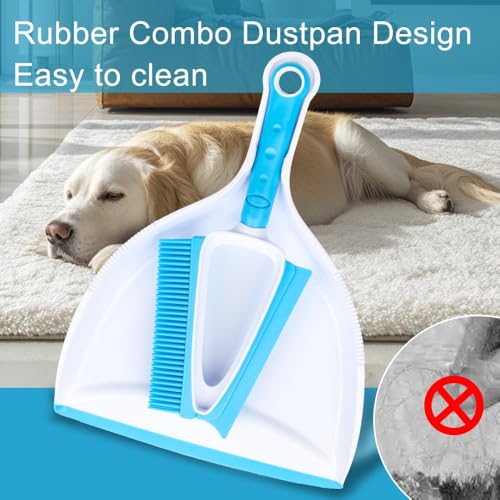 Pet Hair Rubber Brush with Mini Dustpan