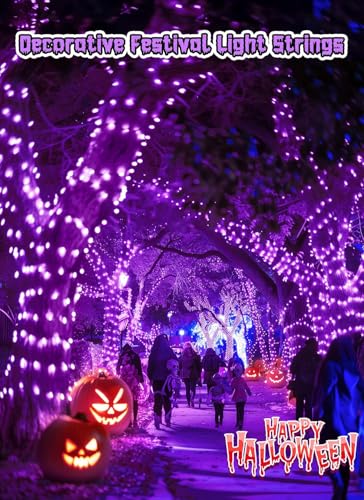 Purple Battery Operated Christmas String Lights with Timer