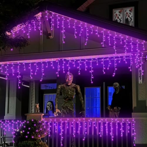 Purple Halloween Lights (33 Foot)