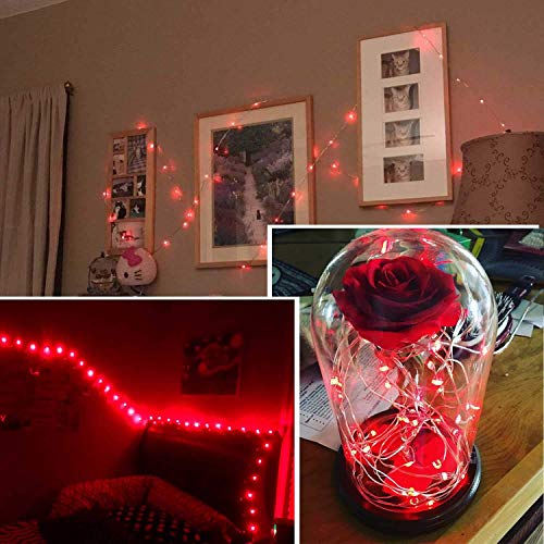 Led Fairy Lights Battery Operated (16 Foot)