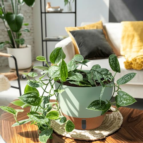 12/10/8 Inch Self Watering Pots for Indoor Plants Plastic Large Pot for Outdoor Plants, Water Level Window & Spacious Reservoir Flower Pots Decorative Planter with Drainage and Tray (3 Count)