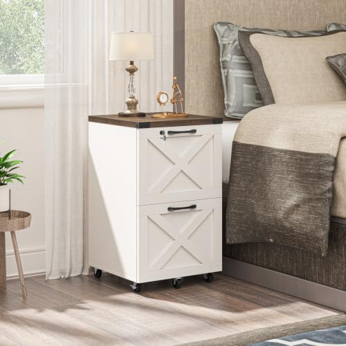 Farmhouse File Cabinet with Lock & 2 Drawers