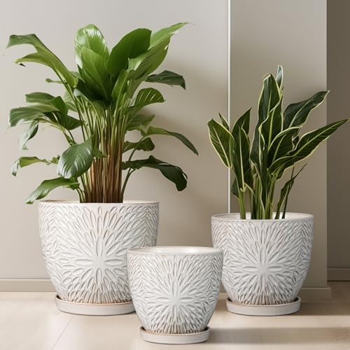 8 Inch Ceramic Plant Pot with Drainage Hole and Saucer