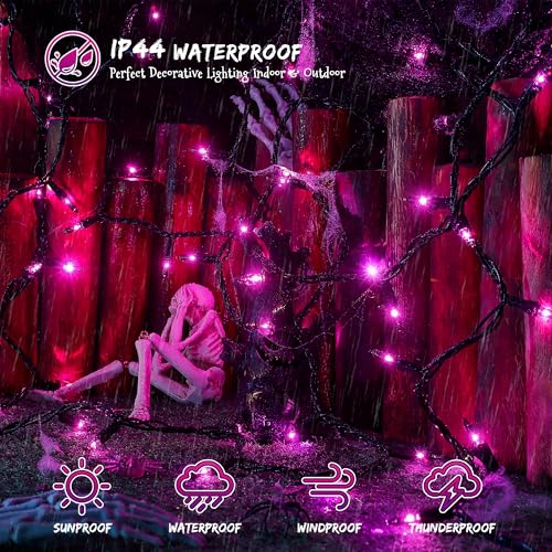 Purple Halloween Lights (13 Foot)