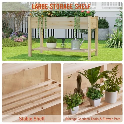 Raised Garden Bed with Shelf