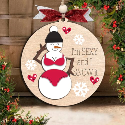 Funny Holiday Ornament 2025