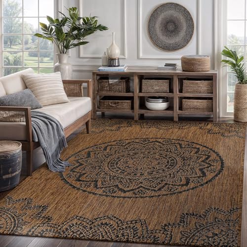 Outdoor Rug 8x10 Modern Area Rugs for Indoor and Outdoor Patios and Porches