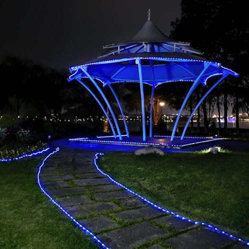 2 Pack 100 LED Blue Solar Rope Lights (72 Foot)