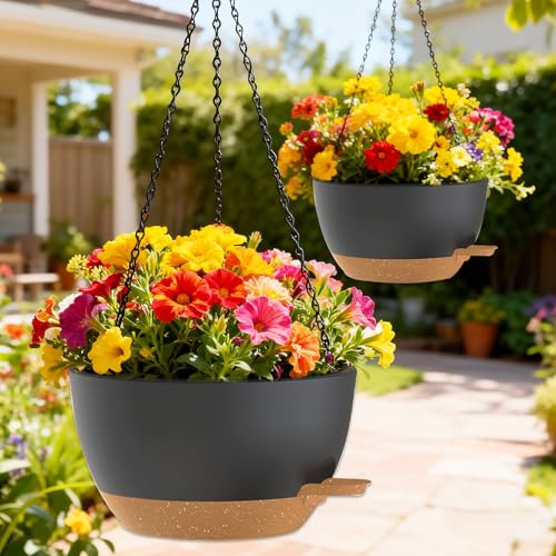 10 Inch Hanging Baskets 2 PC with Chains (2 Count)