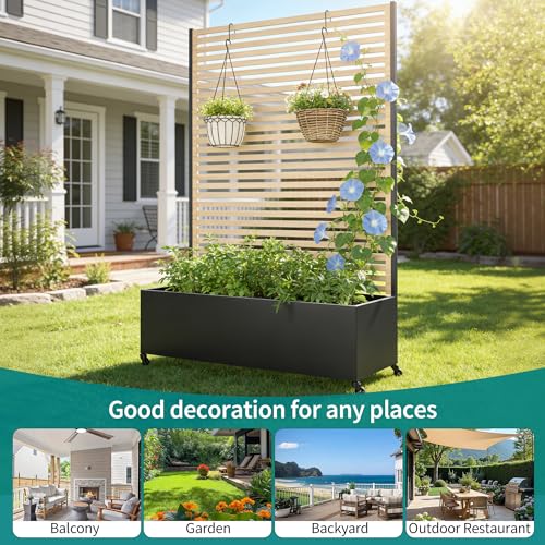 Metal Planter Box with Trellis Privacy Screen