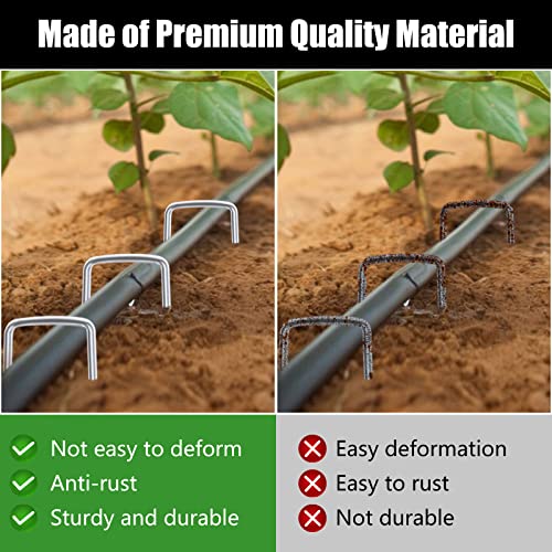 6 Inch 200 Pack Galvanized Landscape Staples 11 Gauge Anti (200 Count)