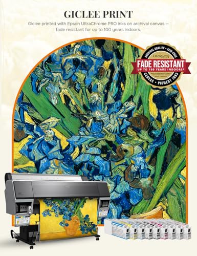Vincent Van Gogh Wall Art Framed