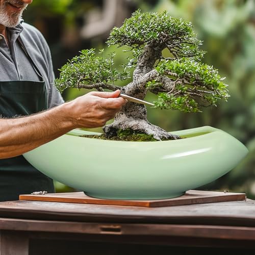 Ceramic Bonsai Pots