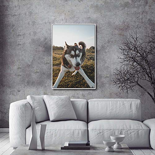 Custom Framed Canvas Prints with Your Photo for Pets