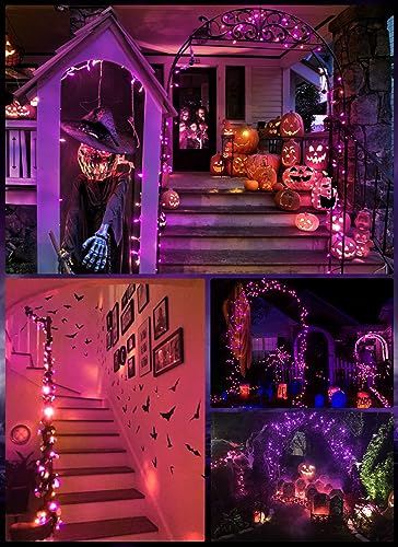 Halloween Orange Purple Outdoor Lights 17.8 Feet 50 LED Christmas Lights (2 Count)