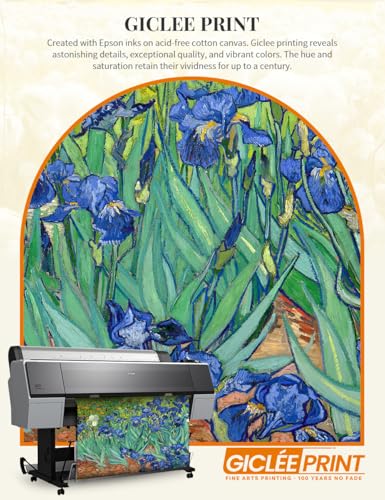 Van Gogh Wall Art Framed
