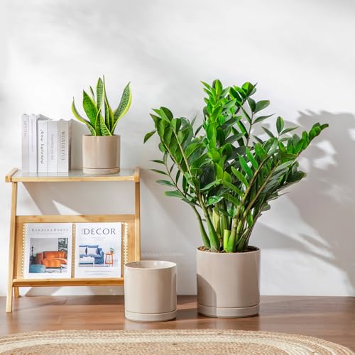 Ceramic Planters (3 Count)