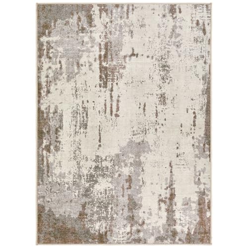 4x6 Area Rug Living Room Rugs (24 Sq Ft)