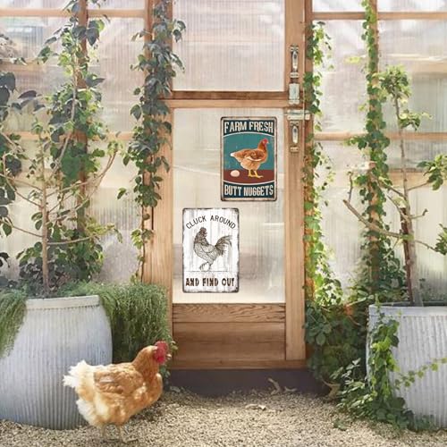 Chicken Coop Metal Signs for Outdoor