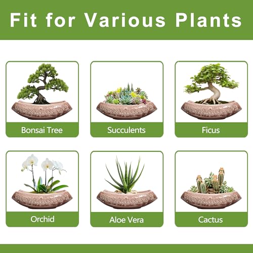 Large Bonsai Pots