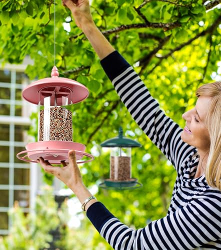 Metal Roof Bird Feeder for Outdoor