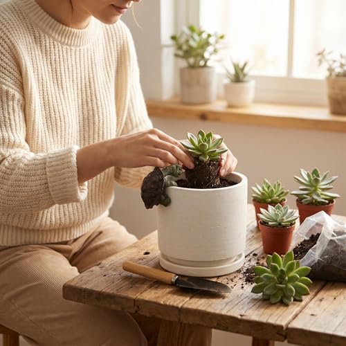 Ceramic Plant Pot with Resin Figure