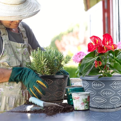 3 Pack Flower Pots (3 Count)