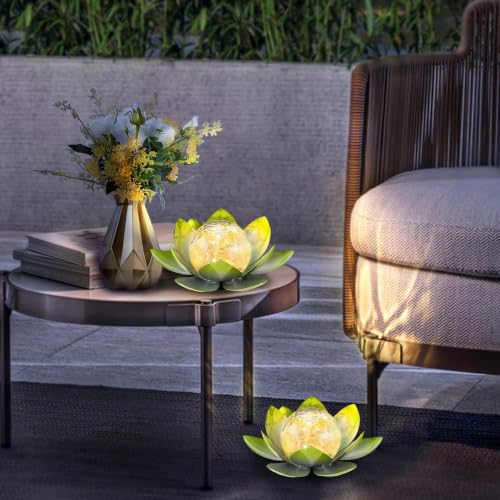 Garden Solar Light Outdoor (2 Count)