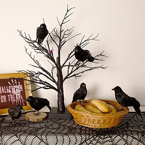 6 Pack Halloween Black Feathered Crows (6 Count)