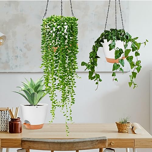 hanging planter (2 Count)